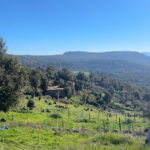 Beautiful natural mountain scenery of Tizi Ouzou captured during Elite d'Or Amazigh New Year trip Algeria