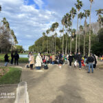 Beautiful scenic view inside Jardin d'Essai botanical garden captured during Elite d'Or trip Algiers Algeria