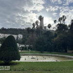 Beautiful scenic view inside Jardin d'Essai botanical garden captured during Elite d'Or trip Algiers Algeria (2)