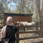Elite d'Or student enjoying the zoo during the cultural trip to Tipaza Algeria