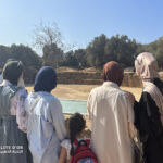 Elite d'Or students exploring the ancient Roman ruins during the cultural trip to Tipaza Algeria